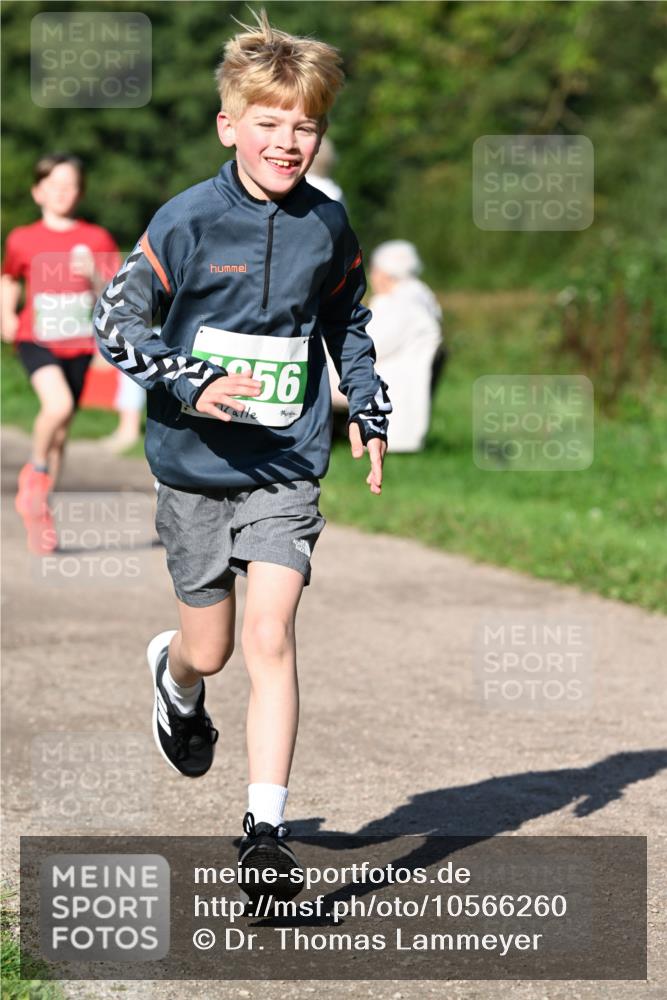 27.09.2026 - 35. Volkslauf durch das schöne Alstertal Dr. Thomas Lammeyer http://msf.ph/oto/10566260 27.09.2026 10:39:45 Laufen 5577956 meine-sportfotos.de