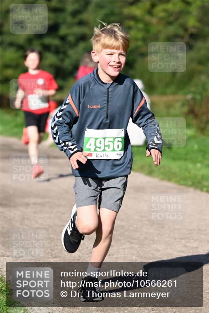 27.09.2026 - 35. Volkslauf durch das schöne Alstertal Dr. Thomas Lammeyer http://msf.ph/oto/10566261 27.09.2026 10:39:45 Laufen 4956 meine-sportfotos.de