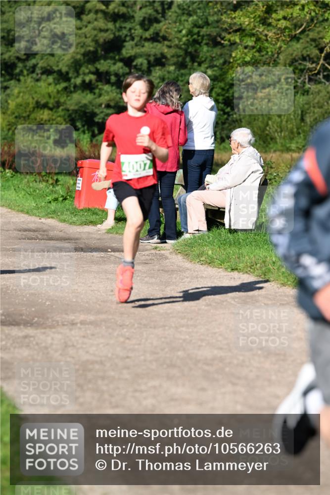 27.09.2026 - 35. Volkslauf durch das schöne Alstertal Dr. Thomas Lammeyer http://msf.ph/oto/10566263 27.09.2026 10:39:45 Laufen 4007 meine-sportfotos.de