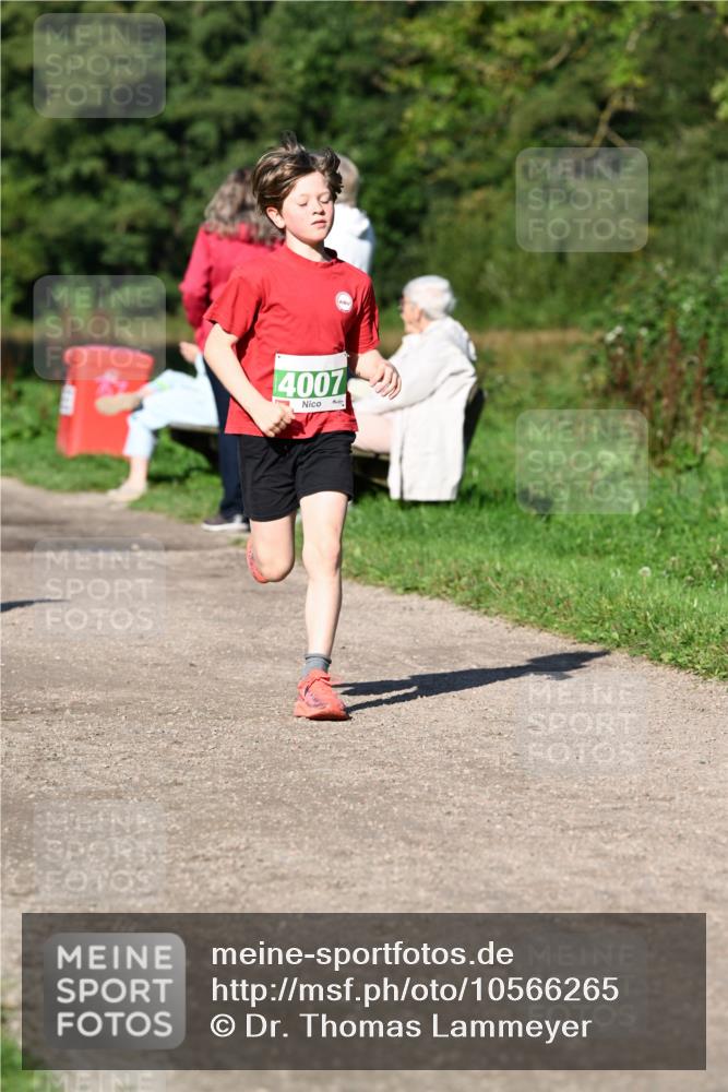 27.09.2026 - 35. Volkslauf durch das schöne Alstertal Dr. Thomas Lammeyer http://msf.ph/oto/10566265 27.09.2026 10:39:46 Laufen  meine-sportfotos.de