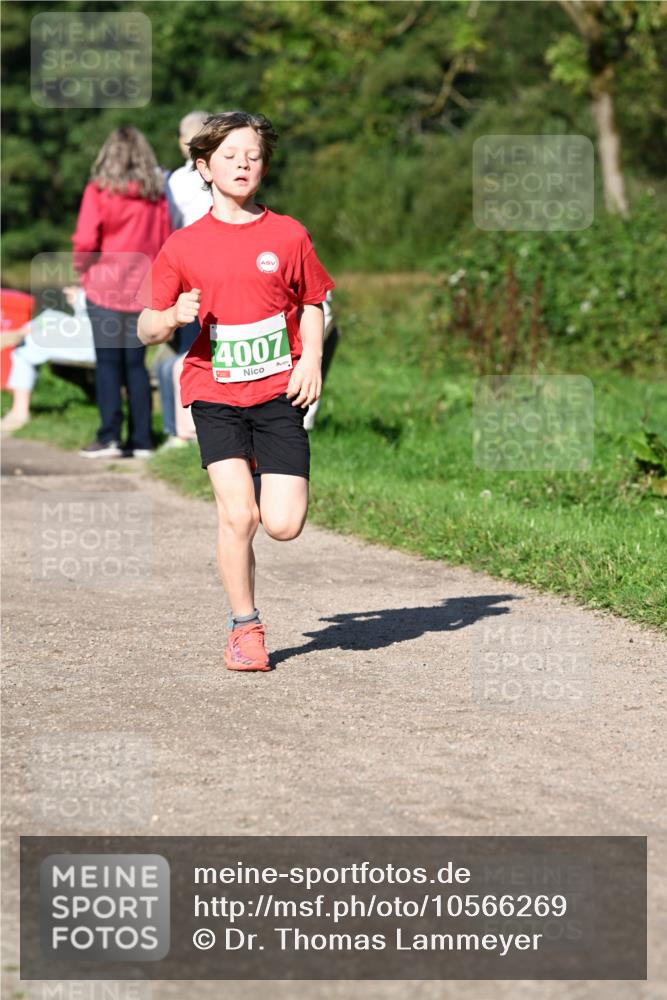 27.09.2026 - 35. Volkslauf durch das schöne Alstertal Dr. Thomas Lammeyer http://msf.ph/oto/10566269 27.09.2026 10:39:46 Laufen 4007 meine-sportfotos.de