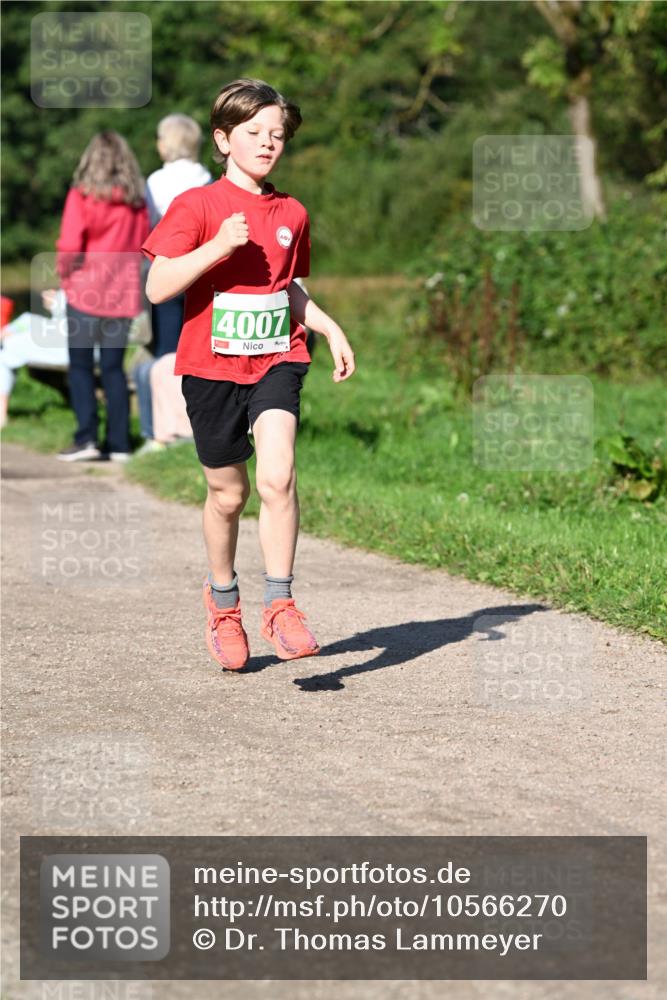 27.09.2026 - 35. Volkslauf durch das schöne Alstertal Dr. Thomas Lammeyer http://msf.ph/oto/10566270 27.09.2026 10:39:46 Laufen 4007 meine-sportfotos.de