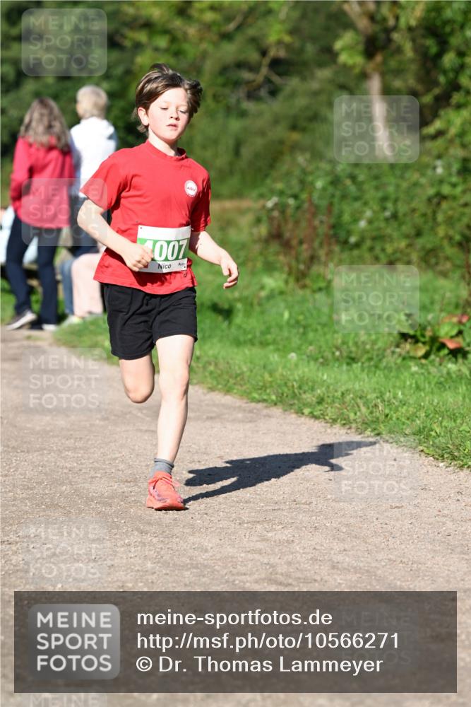 27.09.2026 - 35. Volkslauf durch das schöne Alstertal Dr. Thomas Lammeyer http://msf.ph/oto/10566271 27.09.2026 10:39:47 Laufen 007 meine-sportfotos.de