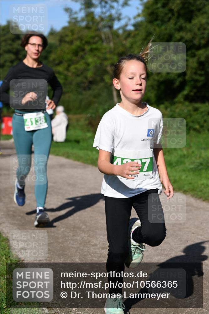 27.09.2026 - 35. Volkslauf durch das schöne Alstertal Dr. Thomas Lammeyer http://msf.ph/oto/10566365 27.09.2026 10:40:01 Laufen 4138, 47 meine-sportfotos.de