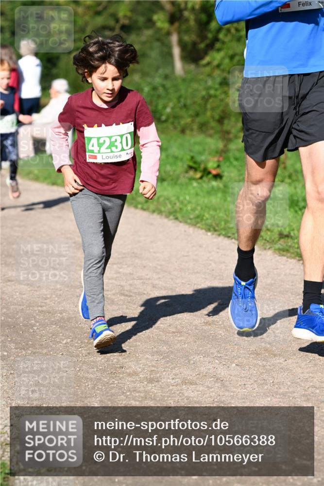 27.09.2026 - 35. Volkslauf durch das schöne Alstertal Dr. Thomas Lammeyer http://msf.ph/oto/10566388 27.09.2026 10:40:05 Laufen 4230 meine-sportfotos.de