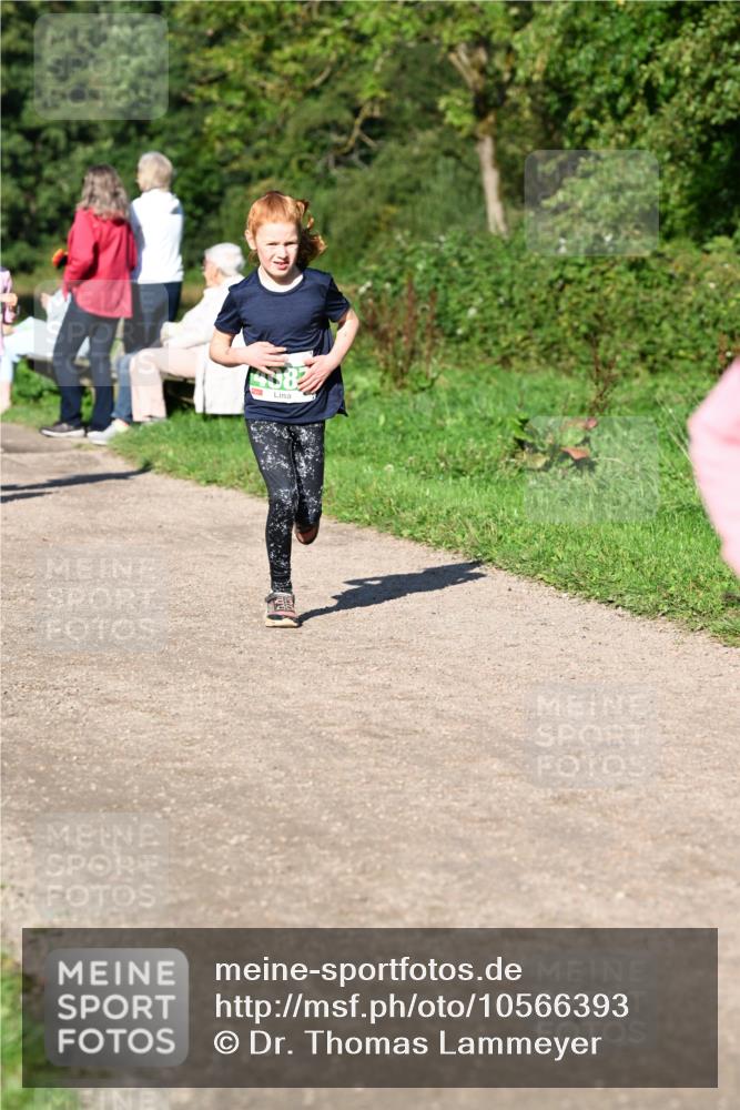 27.09.2026 - 35. Volkslauf durch das schöne Alstertal Dr. Thomas Lammeyer http://msf.ph/oto/10566393 27.09.2026 10:40:06 Laufen  meine-sportfotos.de