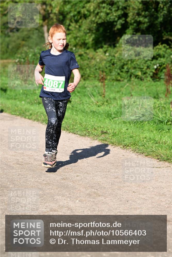 27.09.2026 - 35. Volkslauf durch das schöne Alstertal Dr. Thomas Lammeyer http://msf.ph/oto/10566403 27.09.2026 10:40:08 Laufen 4087 meine-sportfotos.de