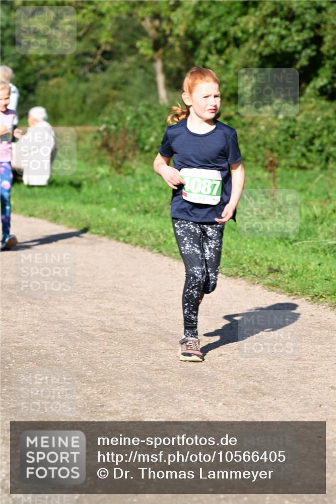 27.09.2026 - 35. Volkslauf durch das schöne Alstertal Dr. Thomas Lammeyer http://msf.ph/oto/10566405 27.09.2026 10:40:08 Laufen 1087 meine-sportfotos.de