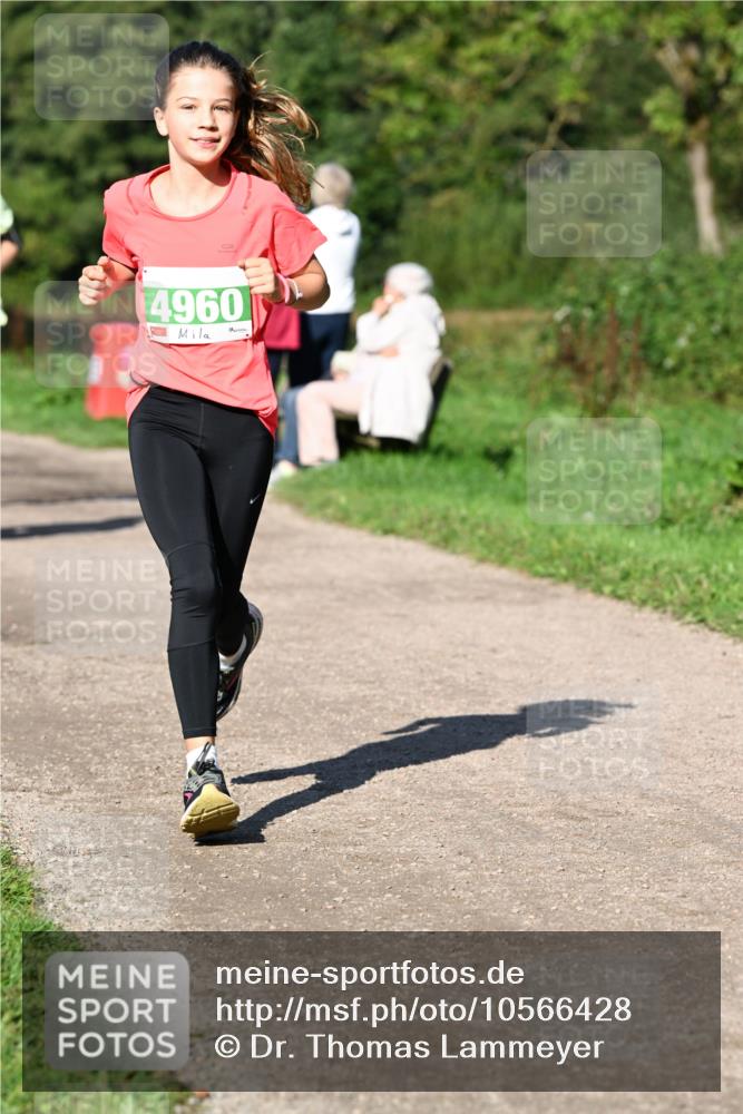 27.09.2026 - 35. Volkslauf durch das schöne Alstertal Dr. Thomas Lammeyer http://msf.ph/oto/10566428 27.09.2026 10:40:12 Laufen 4960 meine-sportfotos.de