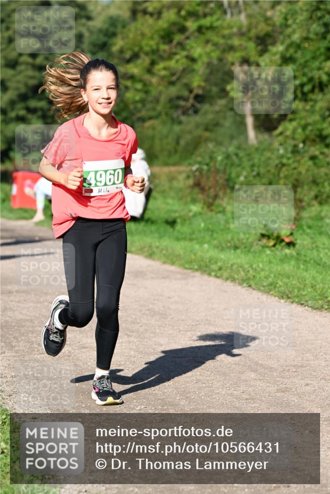 27.09.2026 - 35. Volkslauf durch das schöne Alstertal Dr. Thomas Lammeyer http://msf.ph/oto/10566431 27.09.2026 10:40:13 Laufen 4960 meine-sportfotos.de