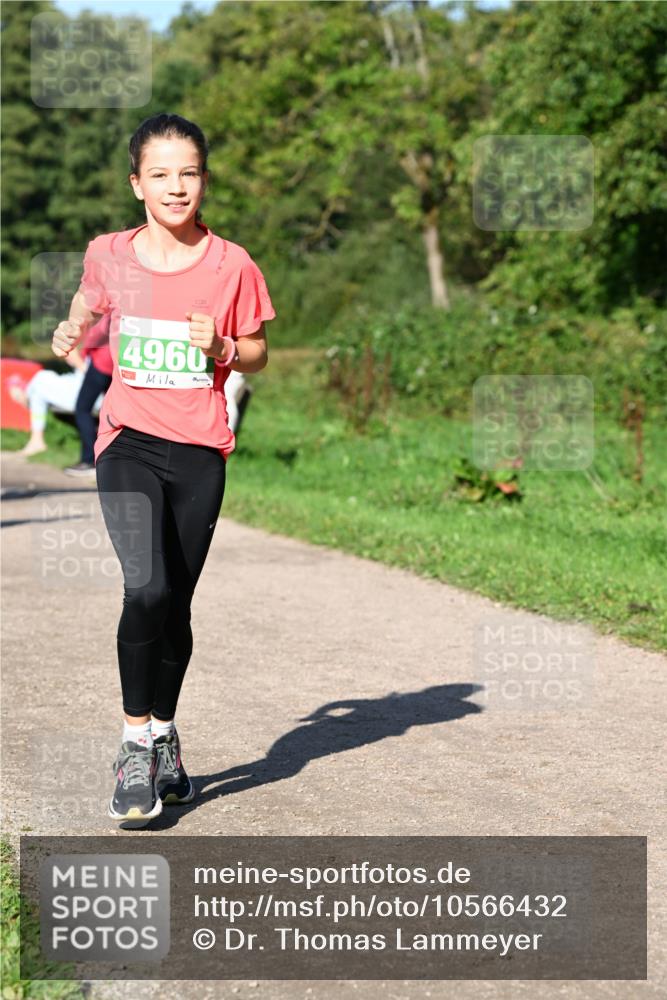 27.09.2026 - 35. Volkslauf durch das schöne Alstertal Dr. Thomas Lammeyer http://msf.ph/oto/10566432 27.09.2026 10:40:13 Laufen 6, 4960 meine-sportfotos.de