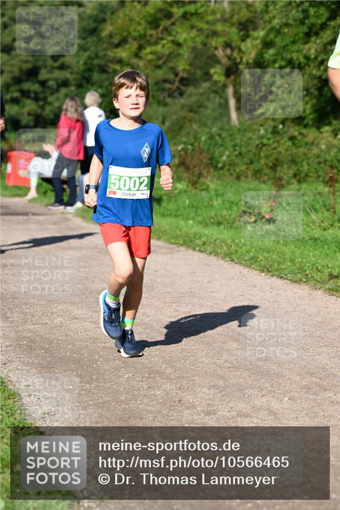 27.09.2026 - 35. Volkslauf durch das schöne Alstertal Dr. Thomas Lammeyer http://msf.ph/oto/10566465 27.09.2026 10:40:18 Laufen 5002 meine-sportfotos.de