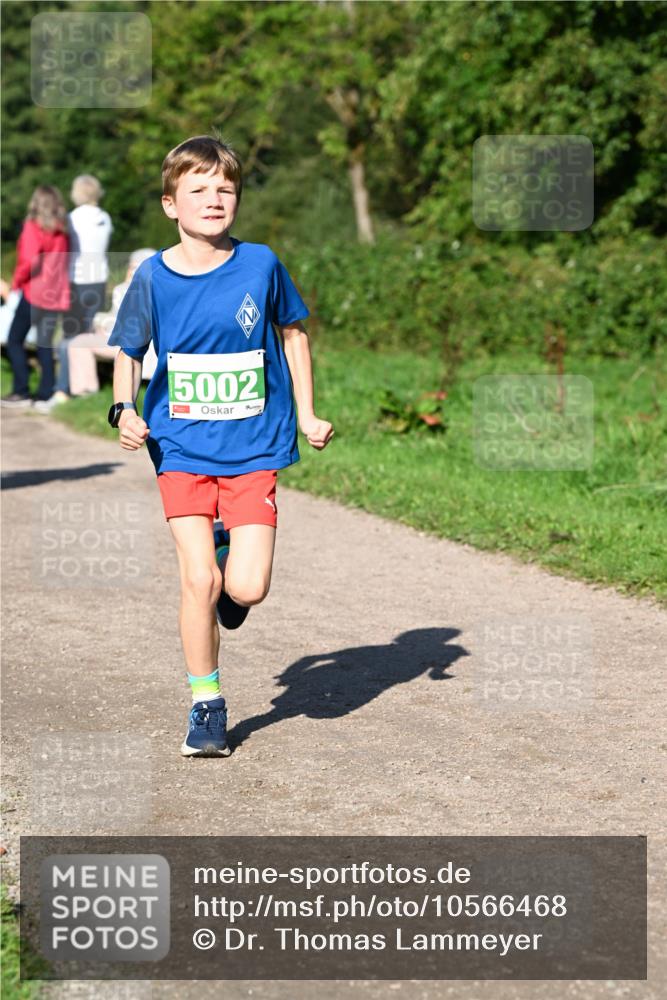 27.09.2026 - 35. Volkslauf durch das schöne Alstertal Dr. Thomas Lammeyer http://msf.ph/oto/10566468 27.09.2026 10:40:18 Laufen 5002 meine-sportfotos.de