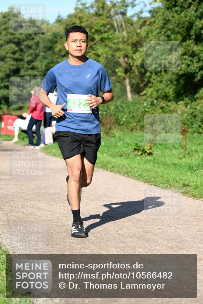 27.09.2026 - 35. Volkslauf durch das schöne Alstertal Dr. Thomas Lammeyer http://msf.ph/oto/10566482 27.09.2026 10:40:20 Laufen 4223 meine-sportfotos.de