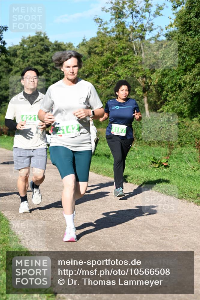 27.09.2026 - 35. Volkslauf durch das schöne Alstertal Dr. Thomas Lammeyer http://msf.ph/oto/10566508 27.09.2026 10:40:25 Laufen 4221, 4142, 4187 meine-sportfotos.de