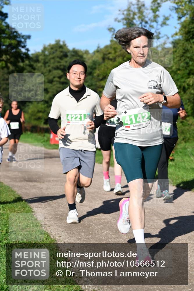 27.09.2026 - 35. Volkslauf durch das schöne Alstertal Dr. Thomas Lammeyer http://msf.ph/oto/10566512 27.09.2026 10:40:25 Laufen 2026, 4221, 4142, 87 meine-sportfotos.de