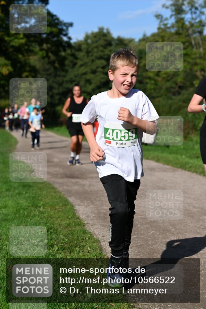 27.09.2026 - 35. Volkslauf durch das schöne Alstertal Dr. Thomas Lammeyer http://msf.ph/oto/10566522 27.09.2026 10:40:27 Laufen 4055 meine-sportfotos.de