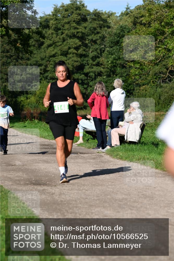 27.09.2026 - 35. Volkslauf durch das schöne Alstertal Dr. Thomas Lammeyer http://msf.ph/oto/10566525 27.09.2026 10:40:28 Laufen 109, 4148 meine-sportfotos.de