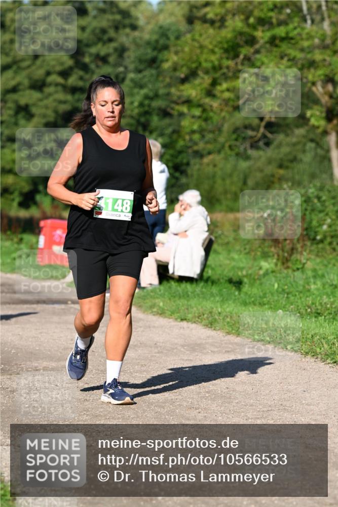 27.09.2026 - 35. Volkslauf durch das schöne Alstertal Dr. Thomas Lammeyer http://msf.ph/oto/10566533 27.09.2026 10:40:29 Laufen 1148 meine-sportfotos.de