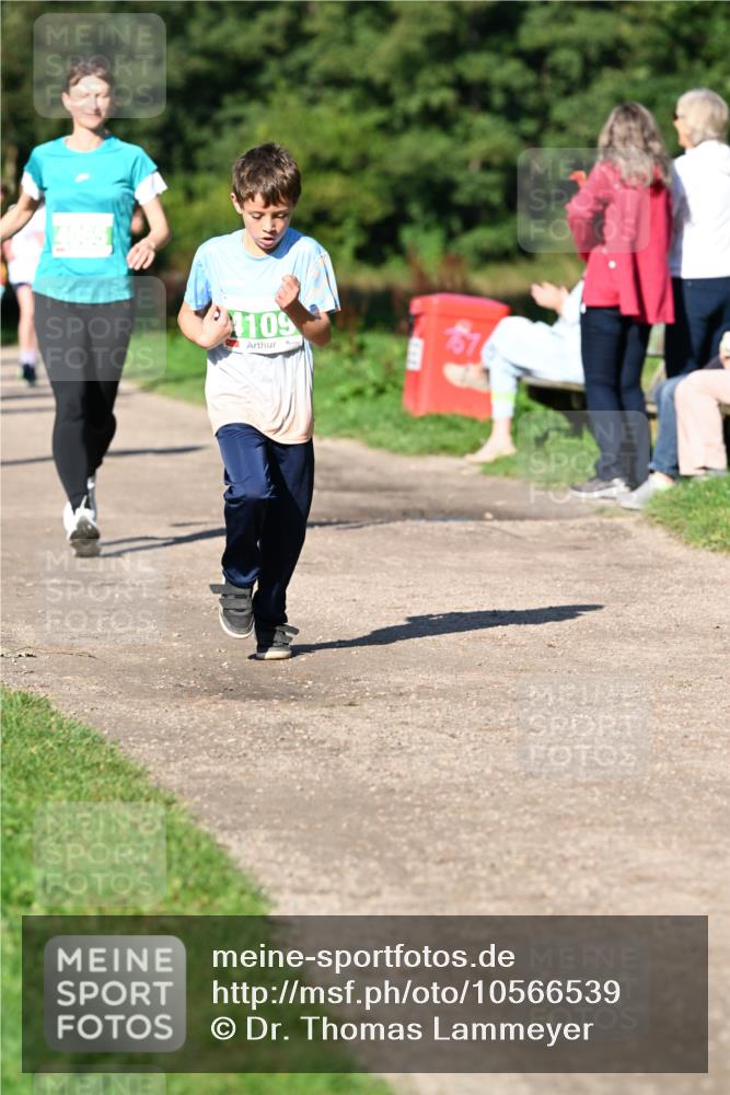 27.09.2026 - 35. Volkslauf durch das schöne Alstertal Dr. Thomas Lammeyer http://msf.ph/oto/10566539 27.09.2026 10:40:30 Laufen  meine-sportfotos.de