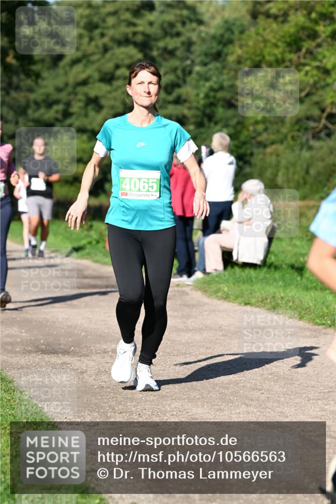 27.09.2026 - 35. Volkslauf durch das schöne Alstertal Dr. Thomas Lammeyer http://msf.ph/oto/10566563 27.09.2026 10:40:33 Laufen 4065 meine-sportfotos.de