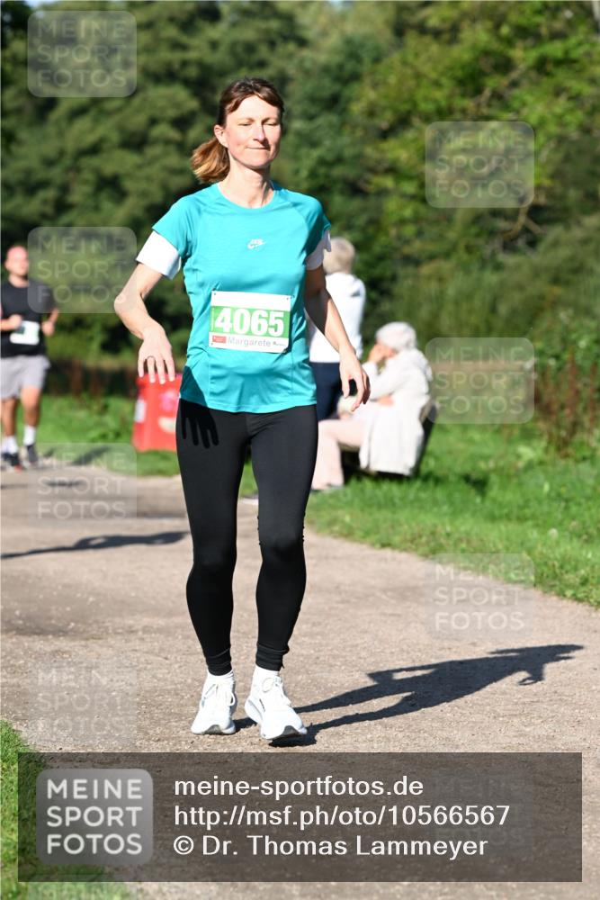 27.09.2026 - 35. Volkslauf durch das schöne Alstertal Dr. Thomas Lammeyer http://msf.ph/oto/10566567 27.09.2026 10:40:34 Laufen 14065 meine-sportfotos.de