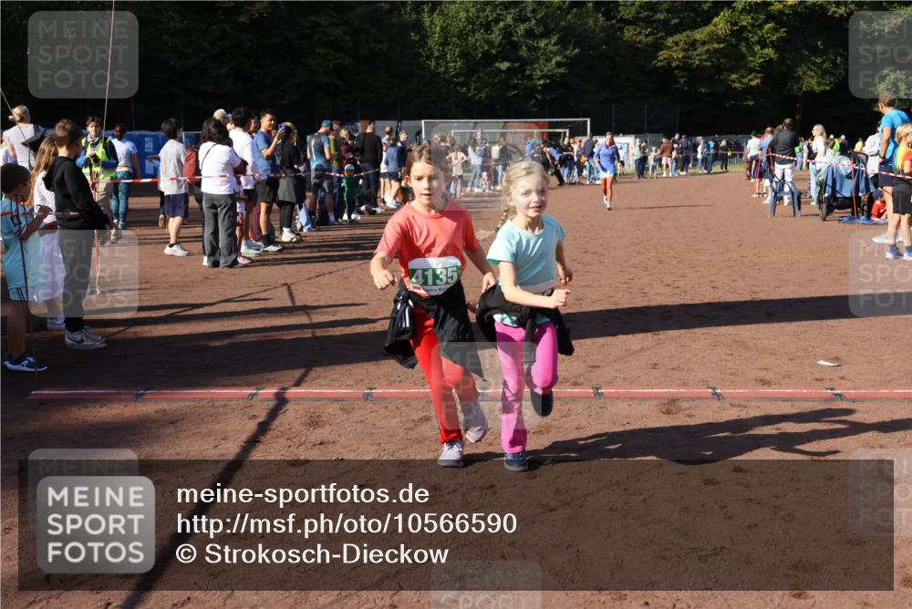 27.09.2026 - 35. Volkslauf durch das schöne Alstertal Strokosch-Dieckow http://msf.ph/oto/10566590 27.09.2026 11:03:47 Ziel 4135, 4136, 4212, 4950 meine-sportfotos.de