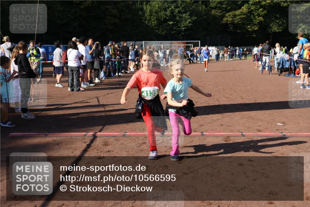 27.09.2026 - 35. Volkslauf durch das schöne Alstertal Strokosch-Dieckow http://msf.ph/oto/10566595 27.09.2026 11:03:47 Ziel 4135, 4136, 4212, 4950 meine-sportfotos.de