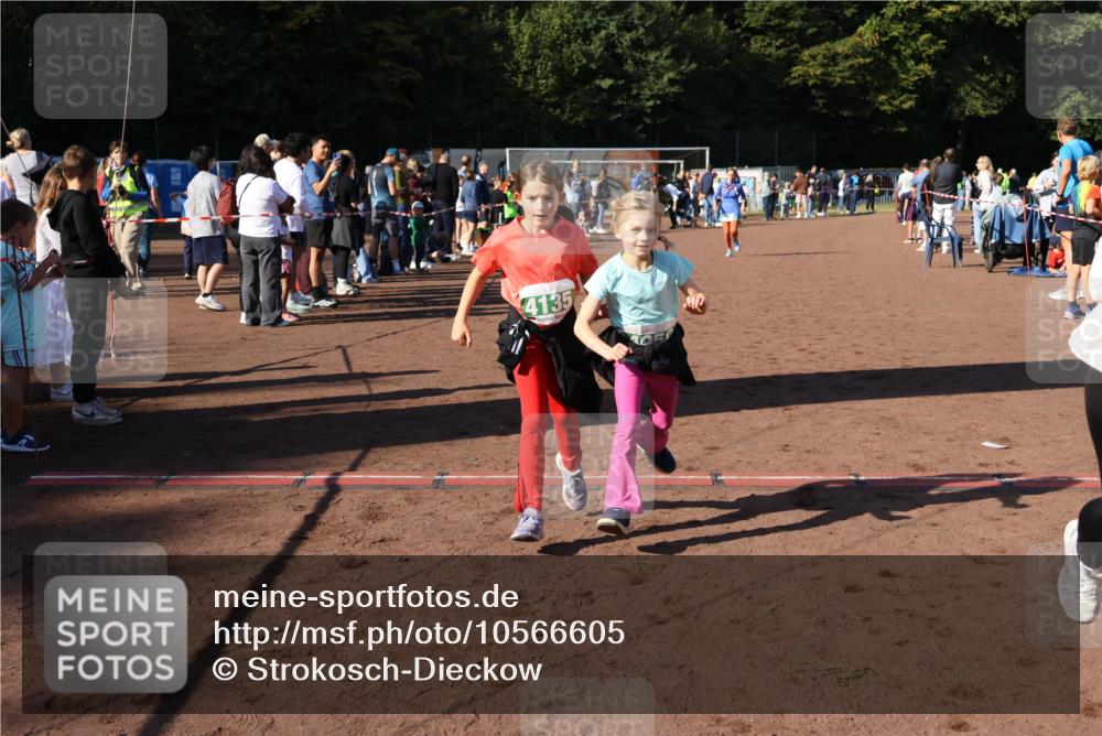 27.09.2026 - 35. Volkslauf durch das schöne Alstertal Strokosch-Dieckow http://msf.ph/oto/10566605 27.09.2026 11:03:47 Ziel 4135, 4136, 4212, 4950 meine-sportfotos.de