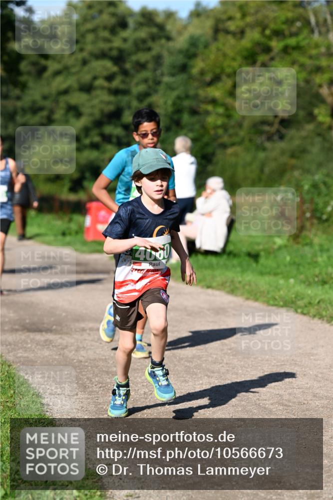 27.09.2026 - 35. Volkslauf durch das schöne Alstertal Dr. Thomas Lammeyer http://msf.ph/oto/10566673 27.09.2026 10:40:58 Laufen 14000 meine-sportfotos.de