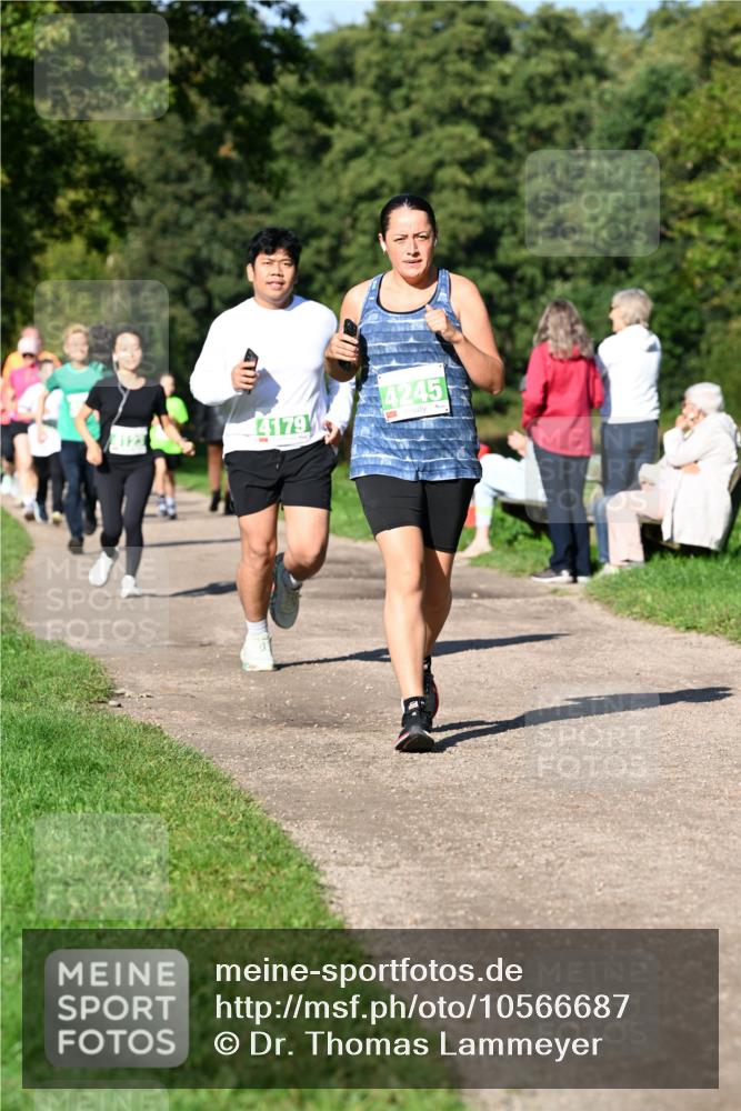 27.09.2026 - 35. Volkslauf durch das schöne Alstertal Dr. Thomas Lammeyer http://msf.ph/oto/10566687 27.09.2026 10:41:00 Laufen 4179, 4245 meine-sportfotos.de