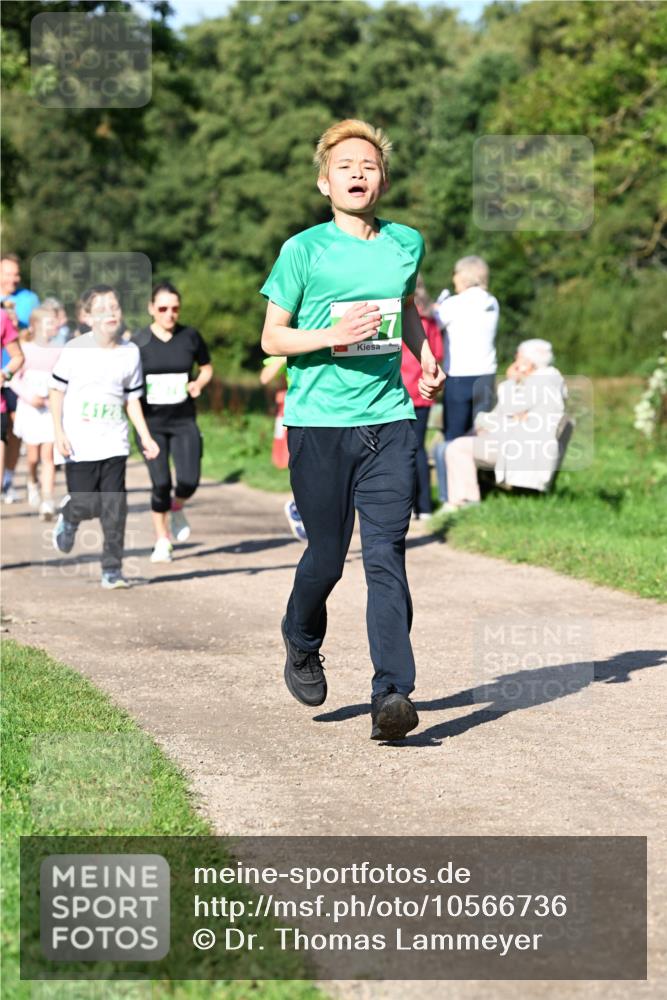 27.09.2026 - 35. Volkslauf durch das schöne Alstertal Dr. Thomas Lammeyer http://msf.ph/oto/10566736 27.09.2026 10:41:07 Laufen 4128 meine-sportfotos.de
