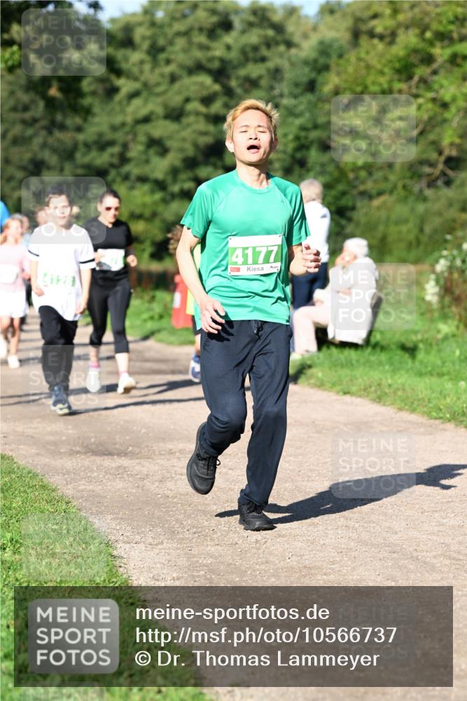 27.09.2026 - 35. Volkslauf durch das schöne Alstertal Dr. Thomas Lammeyer http://msf.ph/oto/10566737 27.09.2026 10:41:07 Laufen 4177 meine-sportfotos.de
