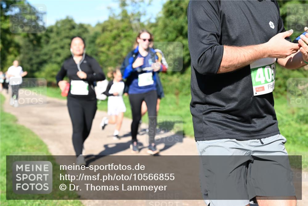 27.09.2026 - 35. Volkslauf durch das schöne Alstertal Dr. Thomas Lammeyer http://msf.ph/oto/10566855 27.09.2026 10:41:30 Laufen 40 meine-sportfotos.de