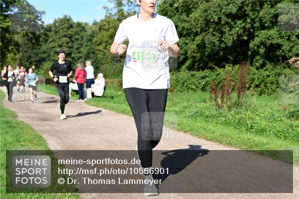 27.09.2026 - 35. Volkslauf durch das schöne Alstertal Dr. Thomas Lammeyer http://msf.ph/oto/10566901 27.09.2026 10:41:37 Laufen 41597 meine-sportfotos.de