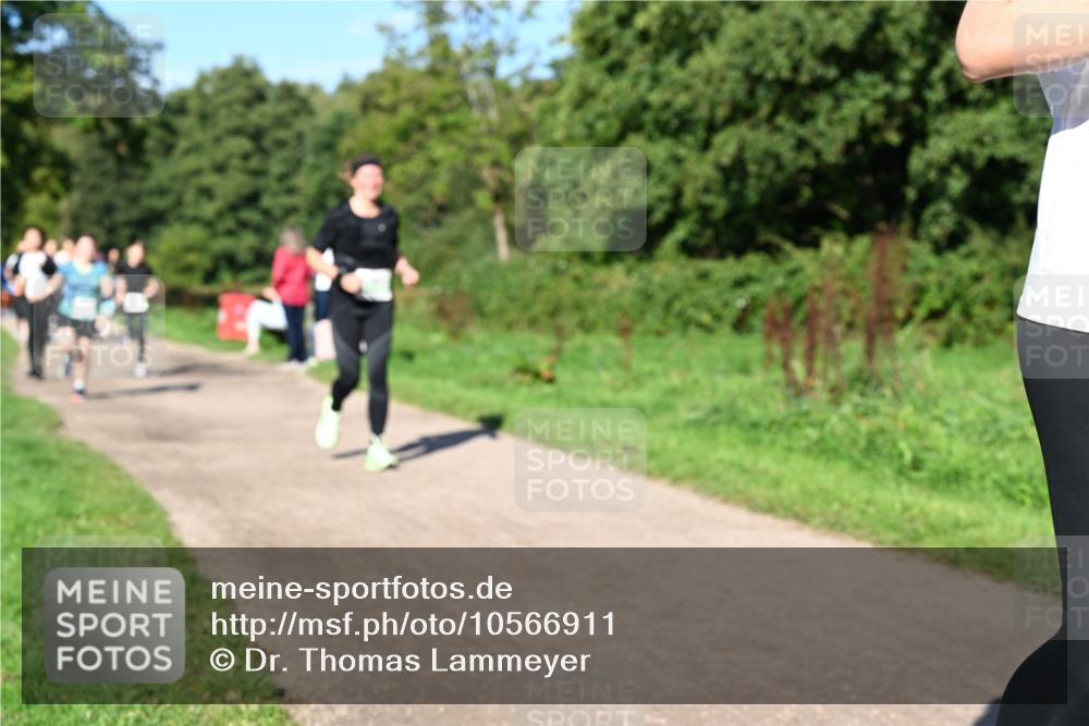27.09.2026 - 35. Volkslauf durch das schöne Alstertal Dr. Thomas Lammeyer http://msf.ph/oto/10566911 27.09.2026 10:41:38 Laufen  meine-sportfotos.de