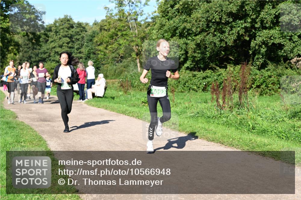 27.09.2026 - 35. Volkslauf durch das schöne Alstertal Dr. Thomas Lammeyer http://msf.ph/oto/10566948 27.09.2026 10:41:43 Laufen 4092 meine-sportfotos.de