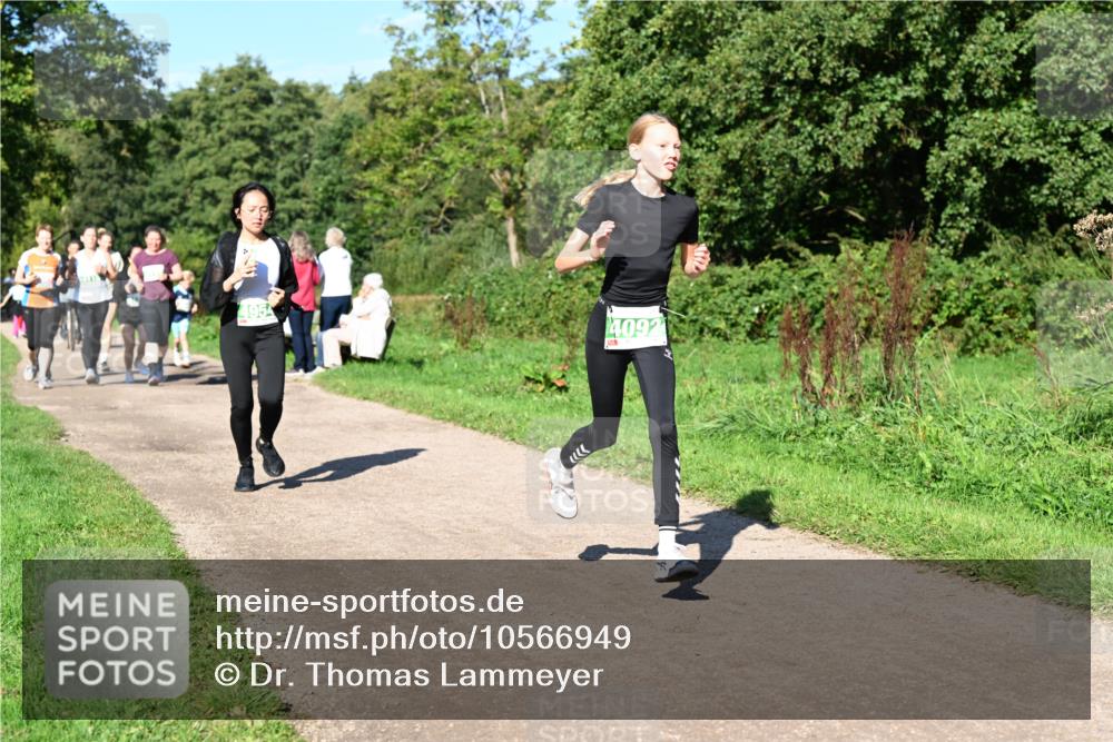 27.09.2026 - 35. Volkslauf durch das schöne Alstertal Dr. Thomas Lammeyer http://msf.ph/oto/10566949 27.09.2026 10:41:43 Laufen 4092 meine-sportfotos.de