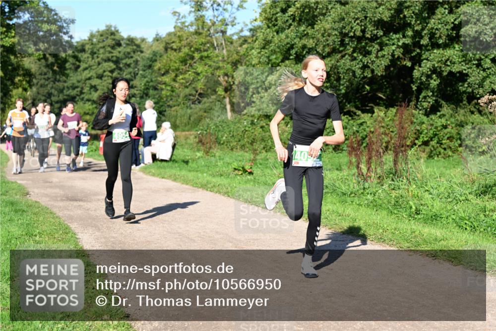 27.09.2026 - 35. Volkslauf durch das schöne Alstertal Dr. Thomas Lammeyer http://msf.ph/oto/10566950 27.09.2026 10:41:43 Laufen 4954, 40 meine-sportfotos.de