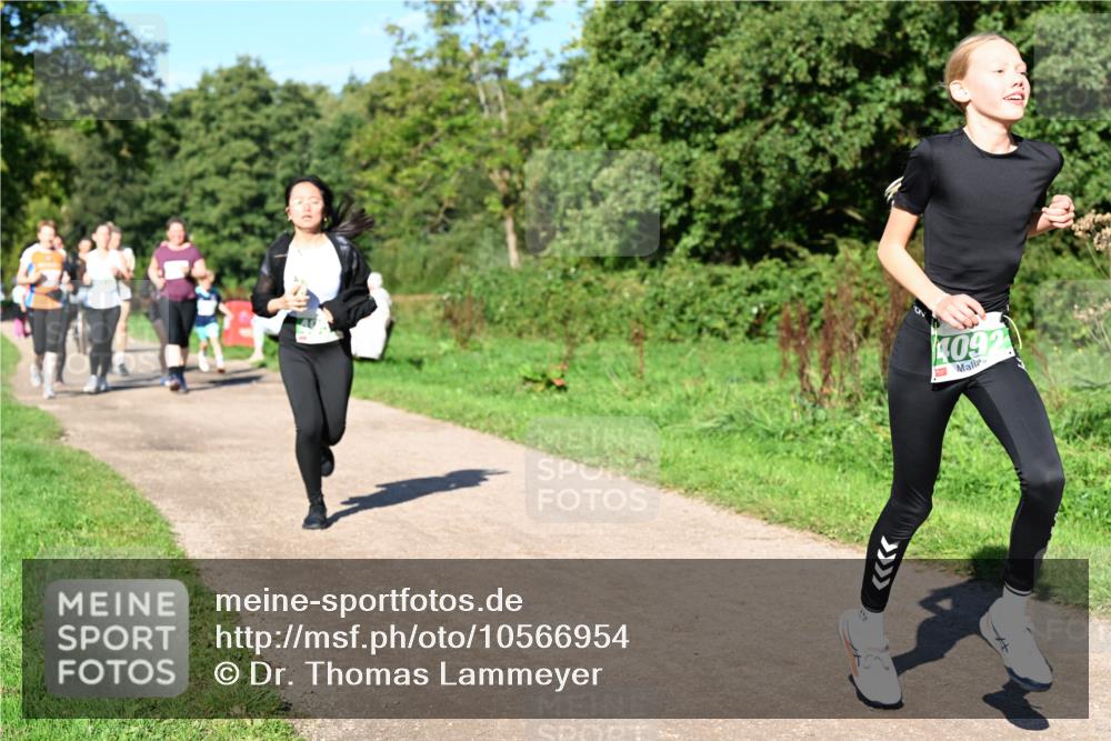 27.09.2026 - 35. Volkslauf durch das schöne Alstertal Dr. Thomas Lammeyer http://msf.ph/oto/10566954 27.09.2026 10:41:44 Laufen 260 meine-sportfotos.de