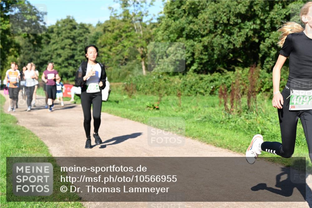27.09.2026 - 35. Volkslauf durch das schöne Alstertal Dr. Thomas Lammeyer http://msf.ph/oto/10566955 27.09.2026 10:41:44 Laufen 4092 meine-sportfotos.de