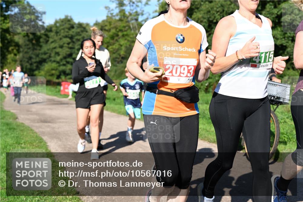 27.09.2026 - 35. Volkslauf durch das schöne Alstertal Dr. Thomas Lammeyer http://msf.ph/oto/10567016 27.09.2026 10:41:50 Laufen 4115, 2093 meine-sportfotos.de