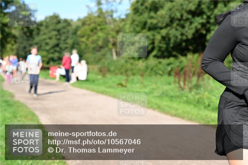 27.09.2026 - 35. Volkslauf durch das schöne Alstertal Dr. Thomas Lammeyer http://msf.ph/oto/10567046 27.09.2026 10:41:54 Laufen  meine-sportfotos.de