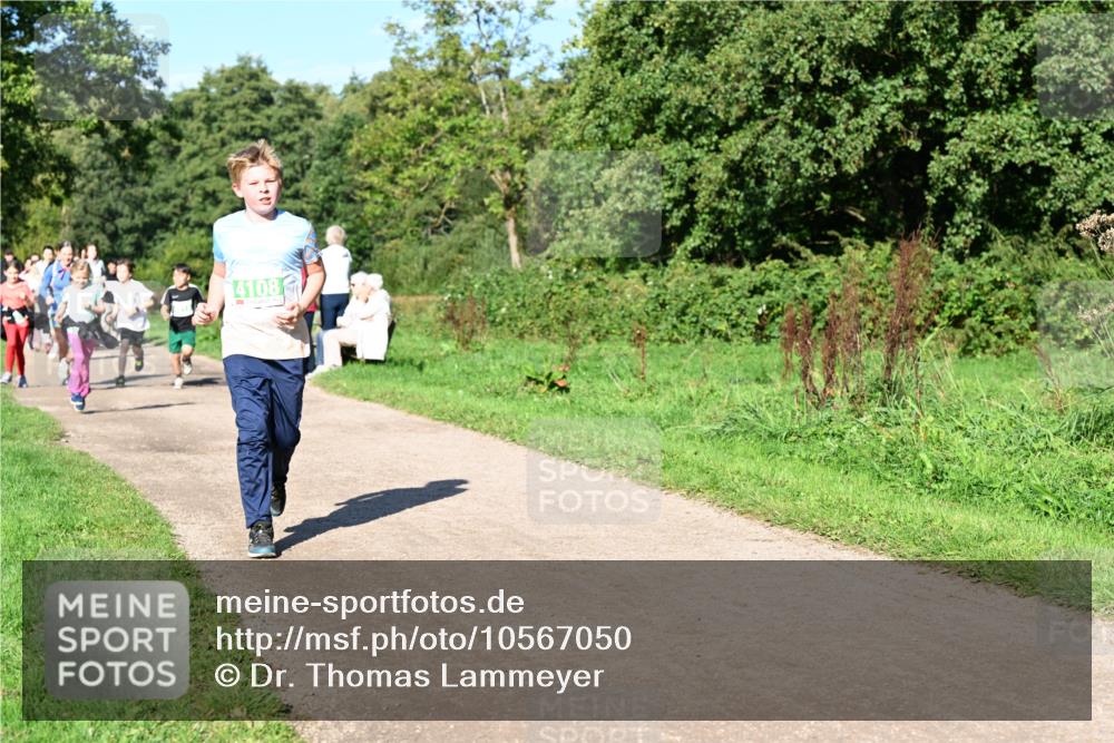 27.09.2026 - 35. Volkslauf durch das schöne Alstertal Dr. Thomas Lammeyer http://msf.ph/oto/10567050 27.09.2026 10:41:57 Laufen 4108 meine-sportfotos.de