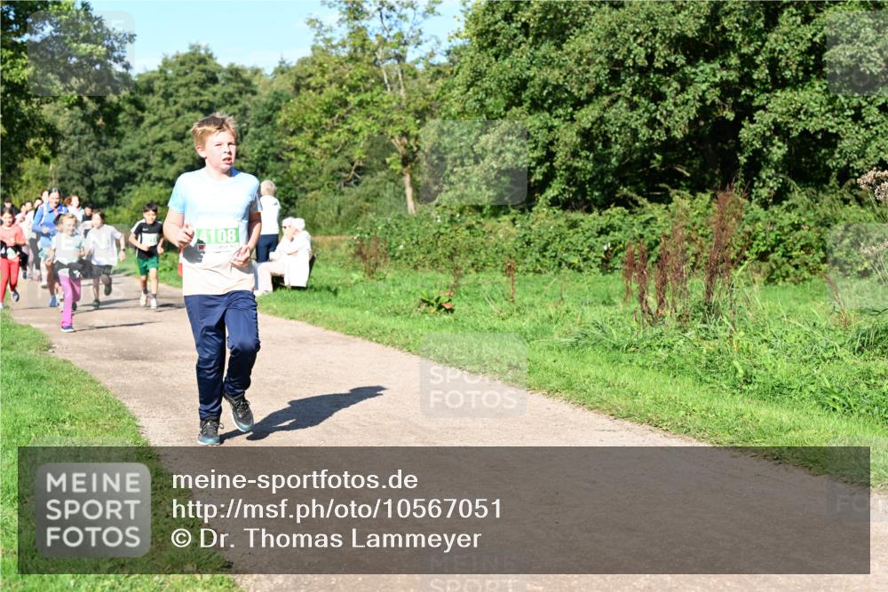 27.09.2026 - 35. Volkslauf durch das schöne Alstertal Dr. Thomas Lammeyer http://msf.ph/oto/10567051 27.09.2026 10:41:57 Laufen 4108 meine-sportfotos.de