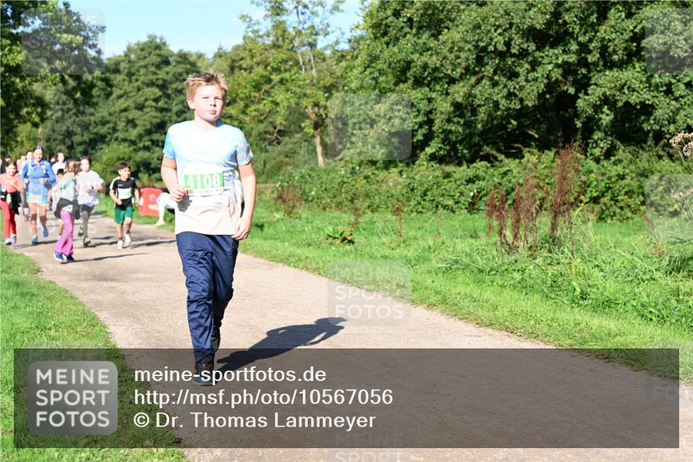27.09.2026 - 35. Volkslauf durch das schöne Alstertal Dr. Thomas Lammeyer http://msf.ph/oto/10567056 27.09.2026 10:41:57 Laufen 4108 meine-sportfotos.de