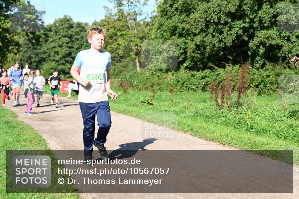 27.09.2026 - 35. Volkslauf durch das schöne Alstertal Dr. Thomas Lammeyer http://msf.ph/oto/10567057 27.09.2026 10:41:57 Laufen 4108 meine-sportfotos.de
