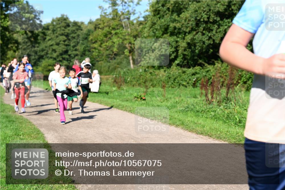 27.09.2026 - 35. Volkslauf durch das schöne Alstertal Dr. Thomas Lammeyer http://msf.ph/oto/10567075 27.09.2026 10:41:59 Laufen  meine-sportfotos.de
