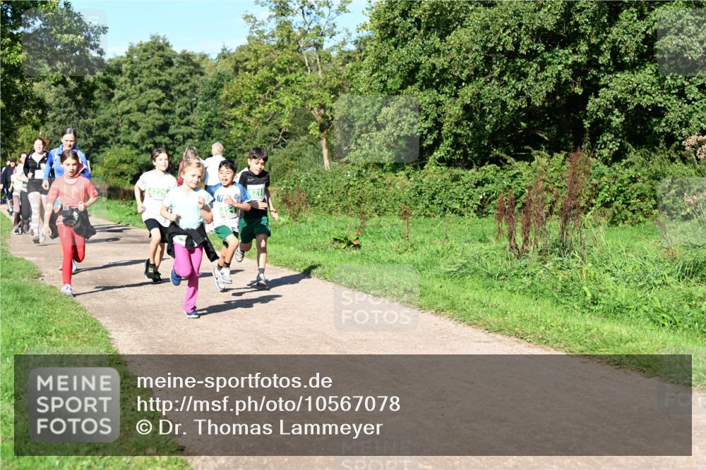 27.09.2026 - 35. Volkslauf durch das schöne Alstertal Dr. Thomas Lammeyer http://msf.ph/oto/10567078 27.09.2026 10:42:00 Laufen 4226, 104218 meine-sportfotos.de