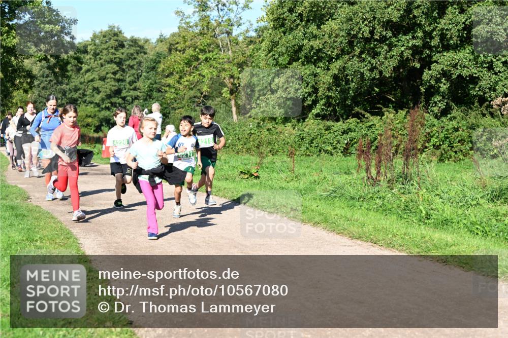 27.09.2026 - 35. Volkslauf durch das schöne Alstertal Dr. Thomas Lammeyer http://msf.ph/oto/10567080 27.09.2026 10:42:00 Laufen 4226, 4217, 4218 meine-sportfotos.de